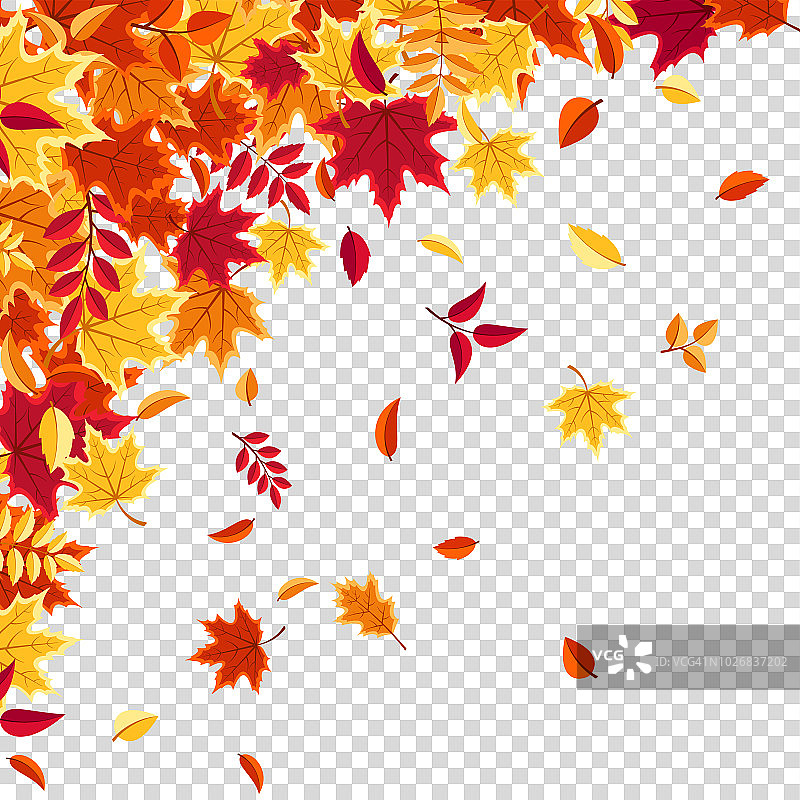 秋天的落叶。大自然的背景有红色、橙色、黄色的树叶。飞叶子。销售季节。矢量图图片素材