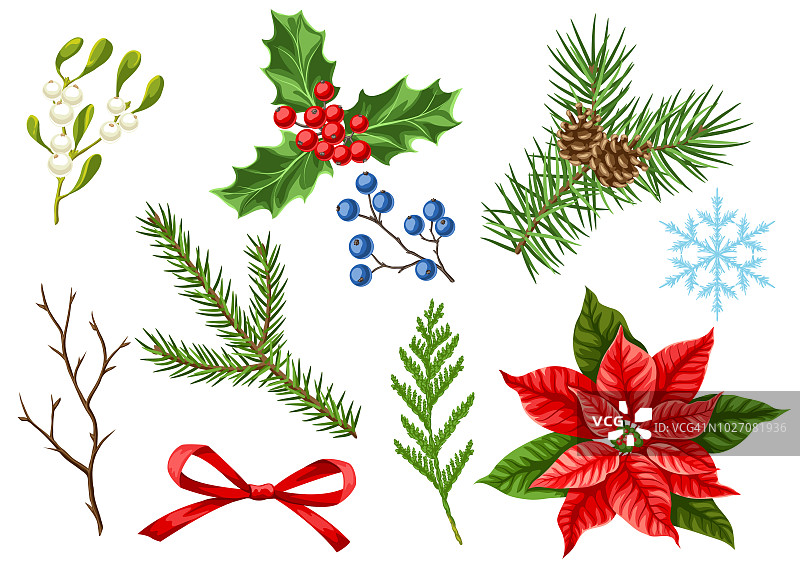 一套圣诞快乐的冬季植物图片素材