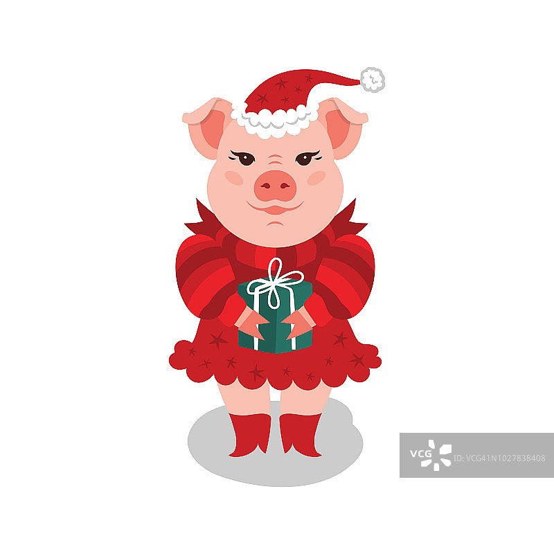有趣的圣诞节猪。一只粉红的小猪穿着红色的裙子，戴着圣诞老人的帽子，拿着礼物，背景是白色的。矢量图图片素材