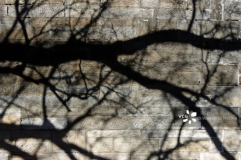 光秃秃的树枝阴影在19世纪晚期砂岩周围的墙上图片素材