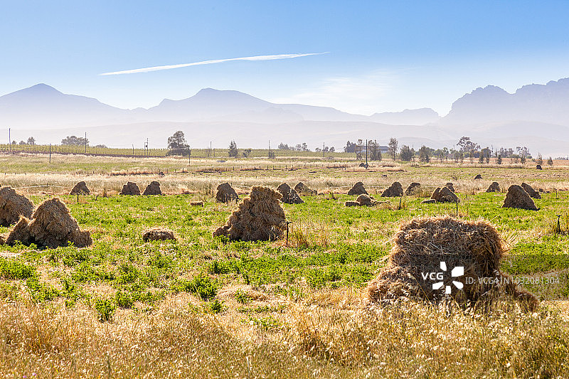 南非谷神谷的农场和农业。图片素材