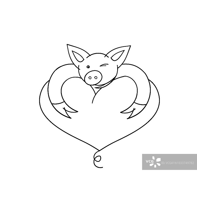 可爱的小猪抱着心脏。可爱的动物。心符号矢量插图。图片素材