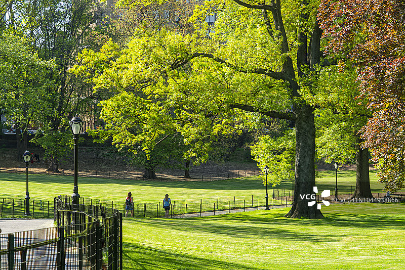 2018年5月9日，美国纽约中央公园，人们走在草坪之间的小路上，草坪被新鲜的绿树环绕，阳光照射。图片素材