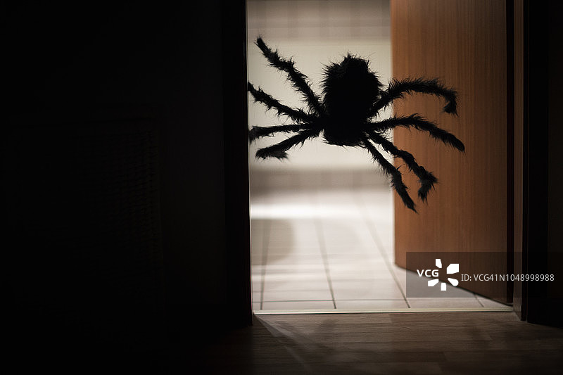 在有背光照明的浴室旁边，一个巨大的玩具蜘蛛从黑暗的走廊上垂下来图片素材