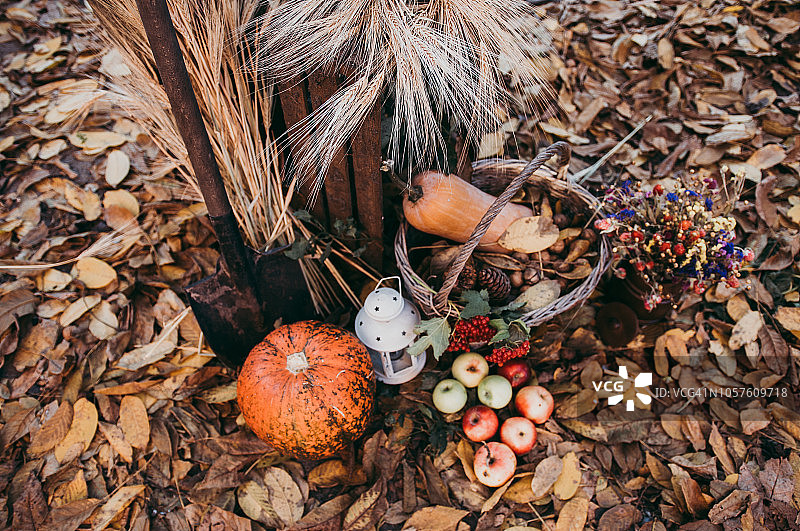 秋天的食物装饰感恩节图片素材