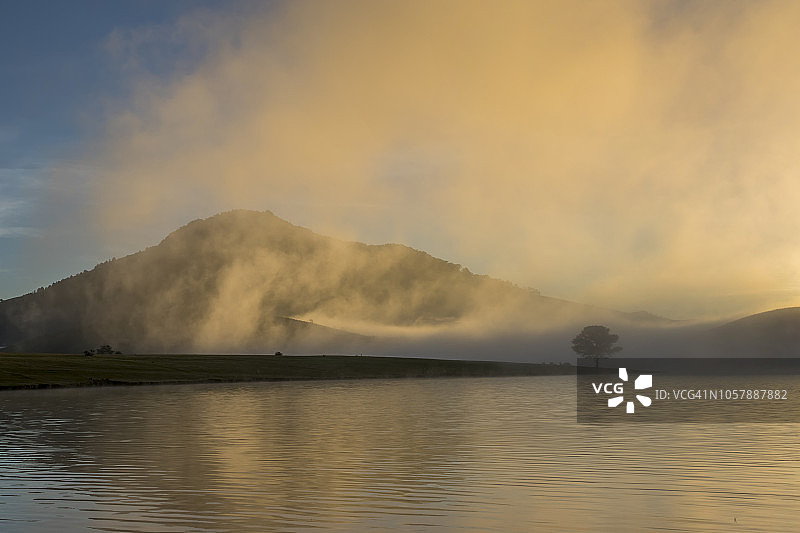 黎明在雾湖上，山和寂寞的树图片素材