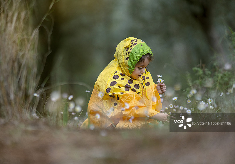 小女孩穿着雨衣在森林里图片素材
