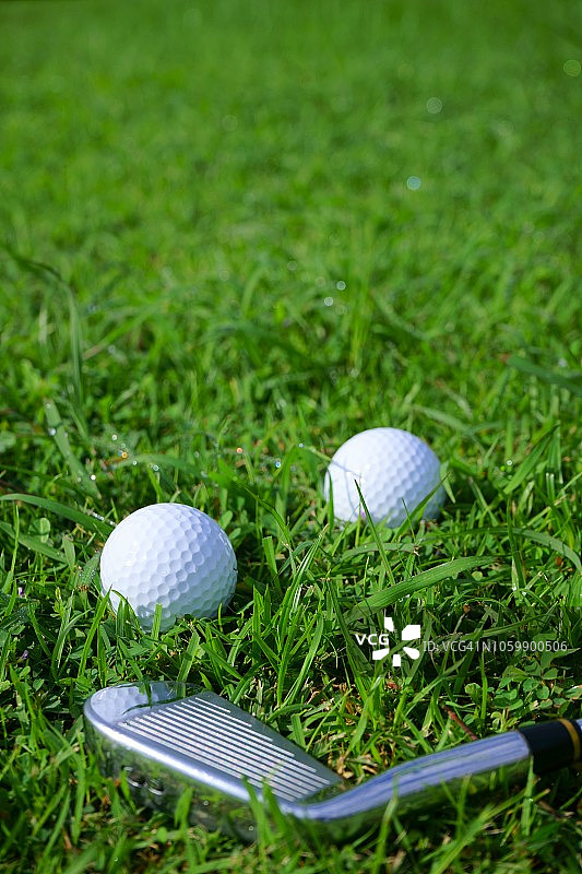 高尔夫球和发球在高尔夫绿球场的背景，复制空间图片素材