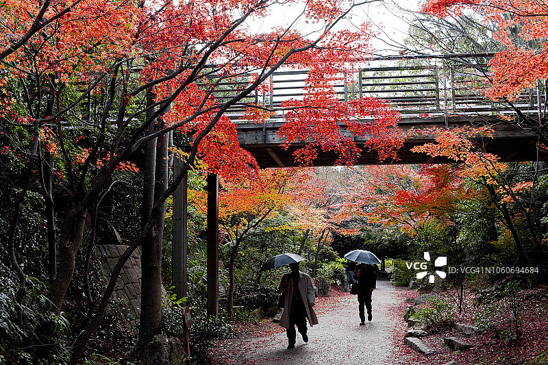 京都梅果寺公园的秋景图片素材