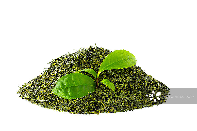 白色背景上的绿茶煎茶图片素材