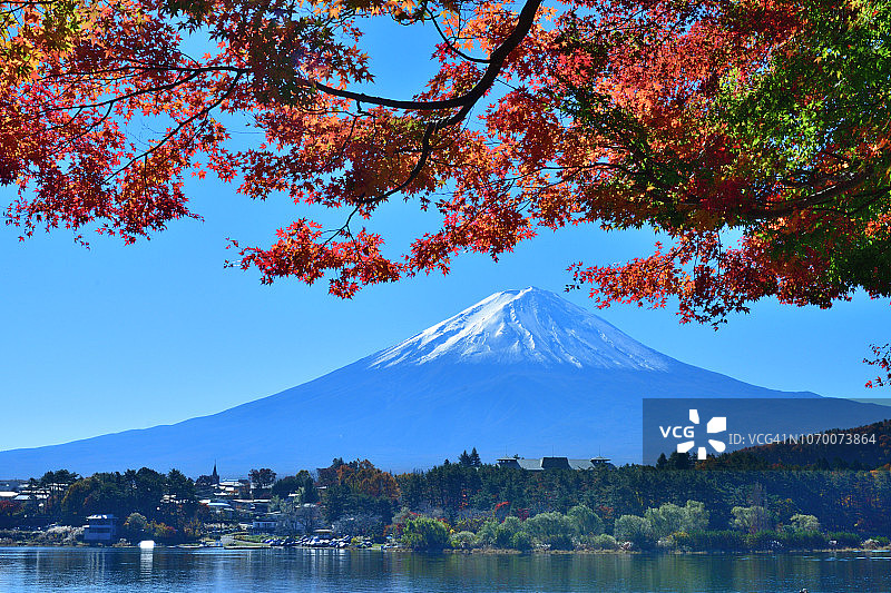 富士山和秋叶:从川口湖看图片素材