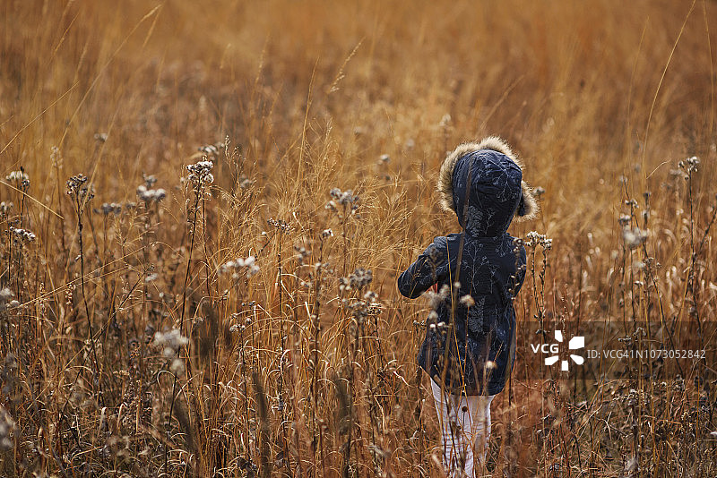 一个站在田野里的女孩的背影，美图片素材