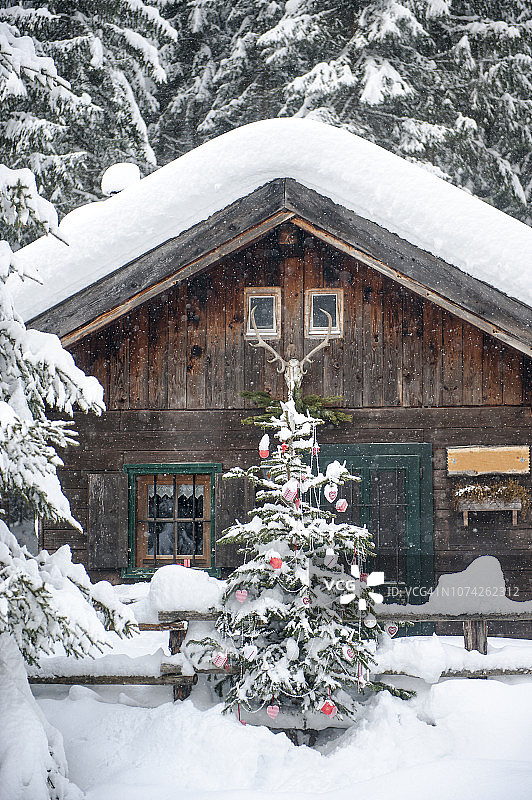 奥地利，Altenmarkt-Zauchensee，圣诞树在雪中的木屋图片素材