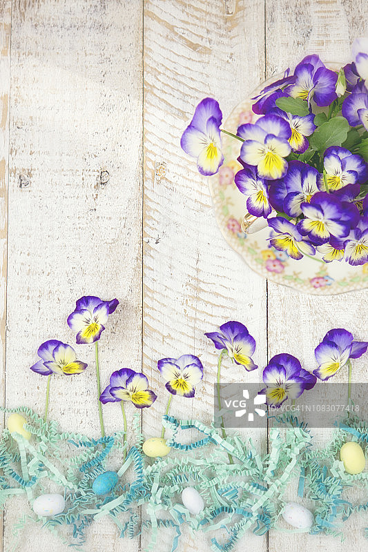 紫色和黄色的堇菜与纸复活节草和糖果图片素材