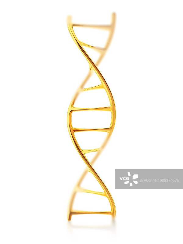 人类DNA分子片段，插图图片素材