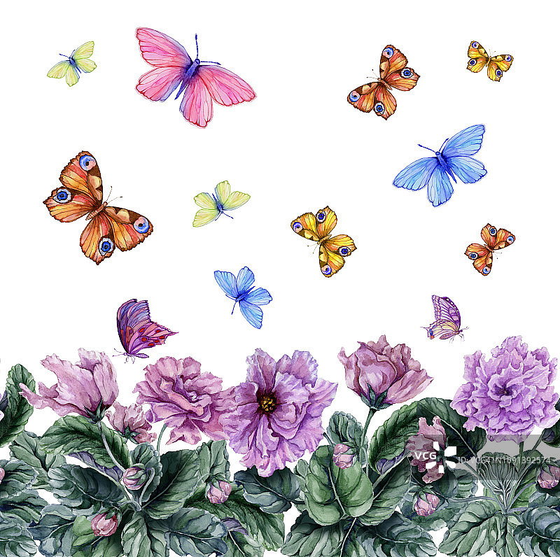 美丽的非洲紫罗兰和飞舞的蝴蝶在白色的背景。无缝的花卉图案。水彩画图片素材
