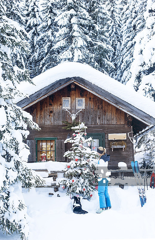 奥地利，一名妇女在小屋内装饰圣诞树图片素材