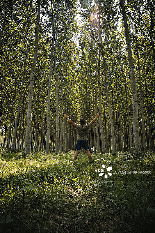 在森林植物中举起手臂的人的后视图图片素材