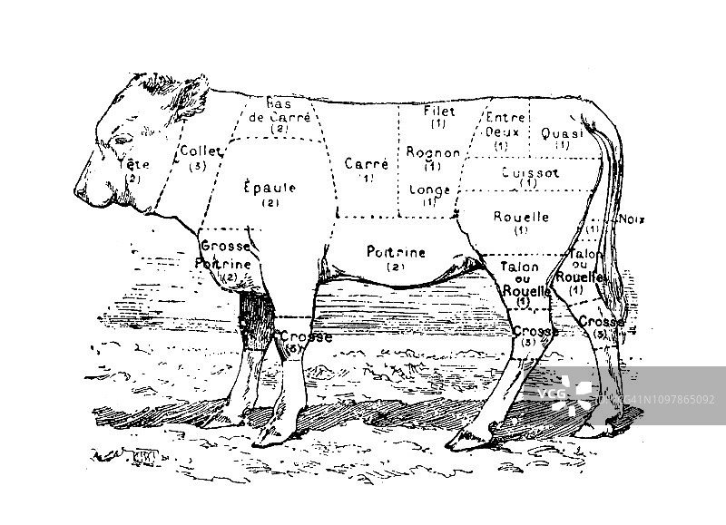 古董古法国雕刻插图:牛肉节图片素材