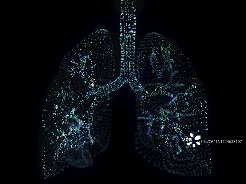 肺丛图解图片素材
