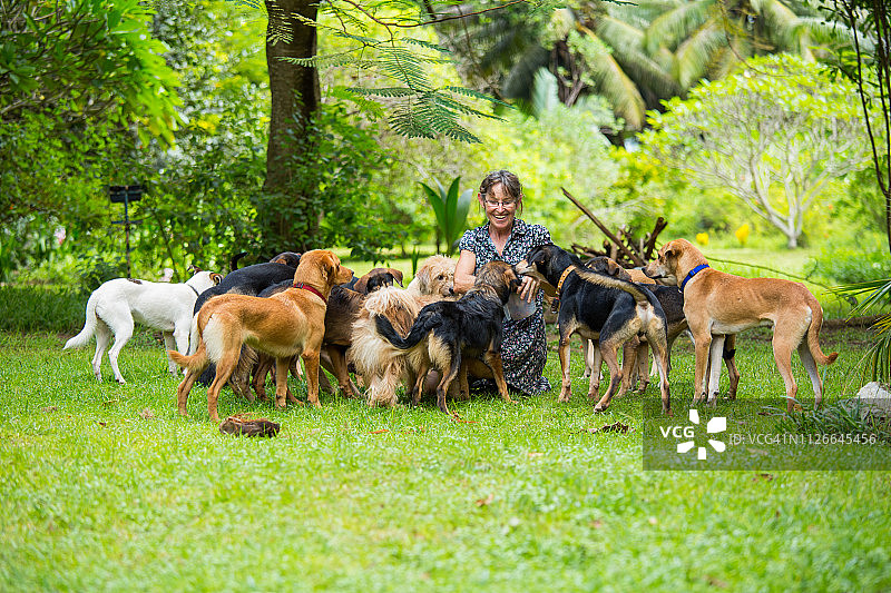 快乐的女人和她的许多可爱的狗在热带花园图片素材