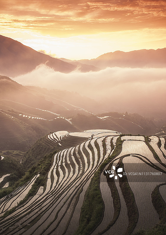 中国日落时的梯田图片素材