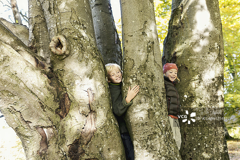 孩子们站在树中间微笑着探出头来图片素材