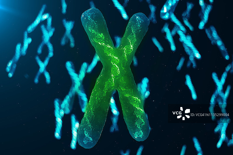 x染色体dna的感染、病毒或感染穿透身体。携带遗传密码的DNA染色体。在生物层面改变遗传密码。三维演示图片素材