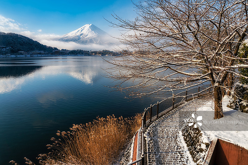 日本川口湖富士山和积雪树的冬天早晨图片素材