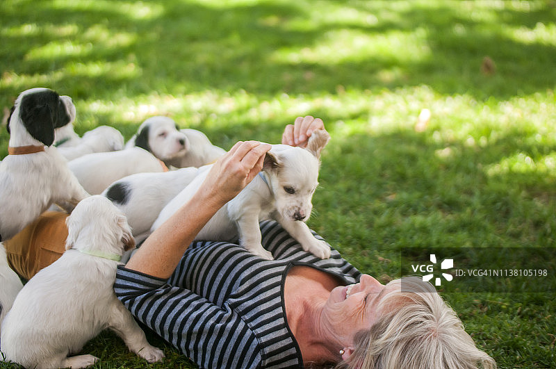 女人喜欢和她的斑点狗狗们在一起图片素材