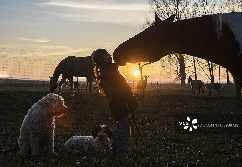 剪影女孩和马亲吻在农场日落图片素材