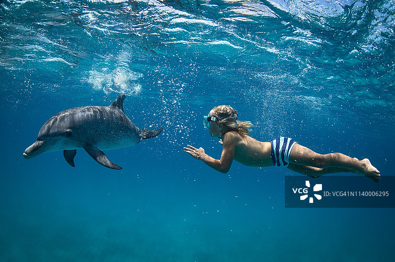 男孩和大西洋斑点海豚自由潜水图片素材