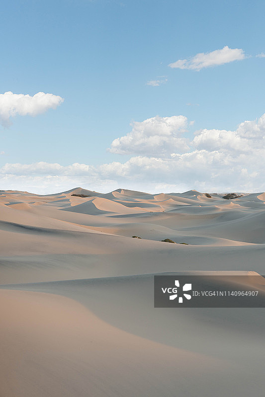 沙丘，牧豆树平坦的沙丘，死亡谷，加利福尼亚，美国图片素材