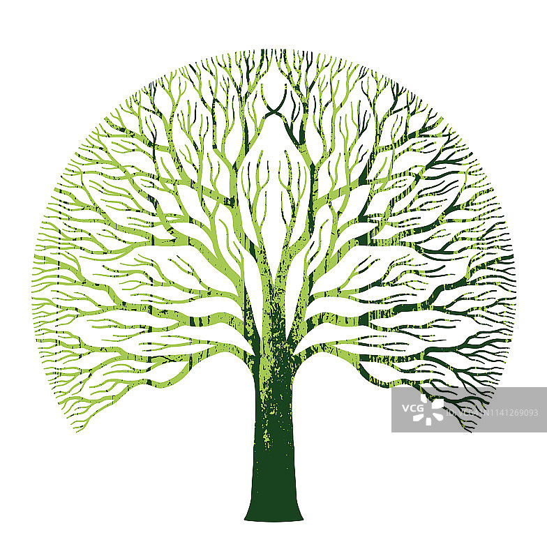大而圆的绿橡树插图图片素材