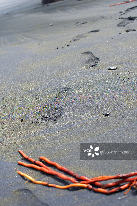 哥斯达黎加，卡胡塔，黑色沙滩上的脚印图片素材