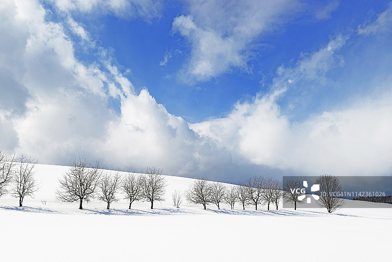 冬季景观北海道，日本图片素材