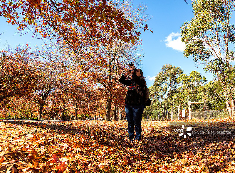 年长妇女拍摄秋天的树叶在充分充满活力的颜色图片素材