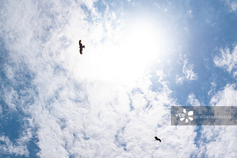 风筝在日本绕着太阳飞图片素材