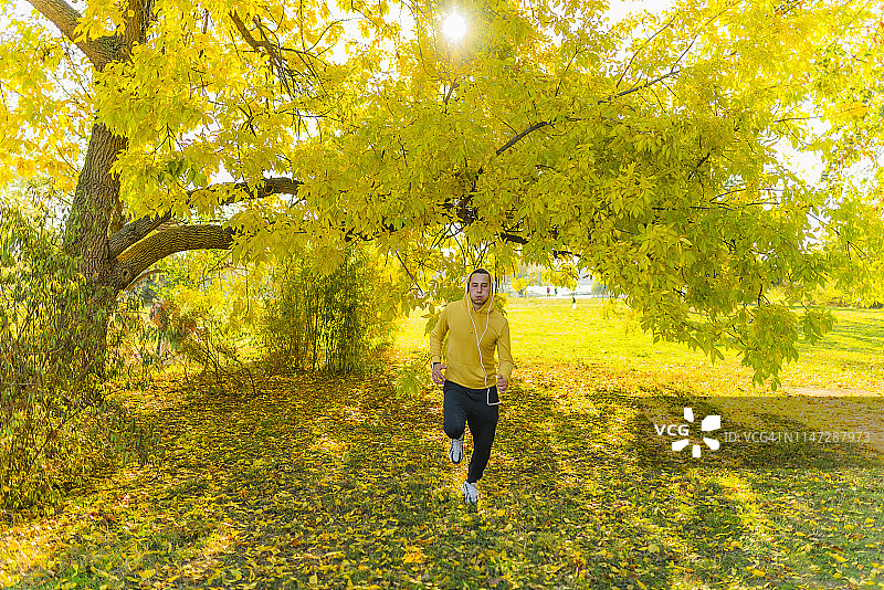 在秋季公园慢跑的年轻运动员图片素材