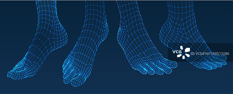 三维的脚。集。Ware mesh从3d应用程序。图片素材