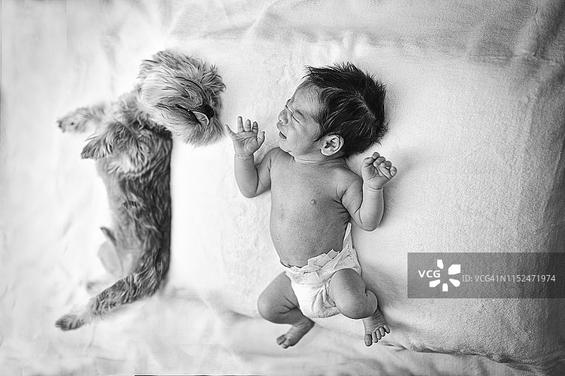 宝宝和一只狗在一起图片素材