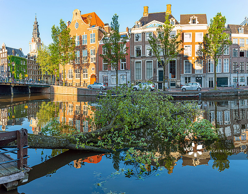 暴风雨过后，阿姆斯特丹运河里的一棵倒下的树图片素材