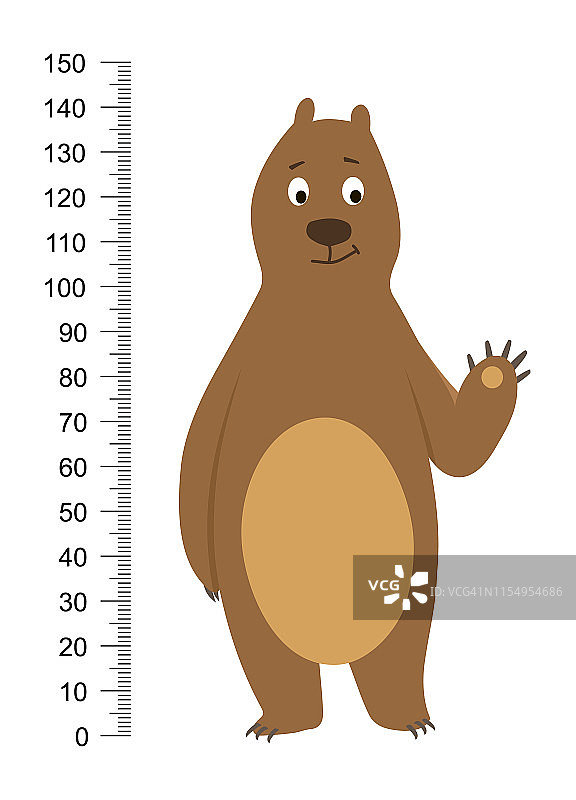 有趣的棕熊孤立在白色背景。儿童身高一米贴墙，儿童量尺。向量打印图片素材