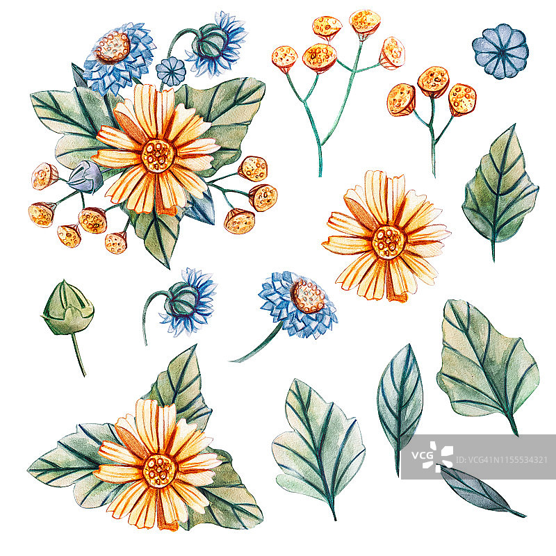 手绘的野花花束。图片素材