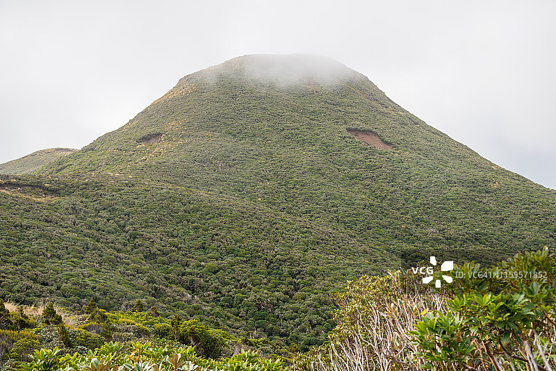 新西兰北岛西部地区埃格蒙特国家公园波凯山脉的美丽景色。图片素材