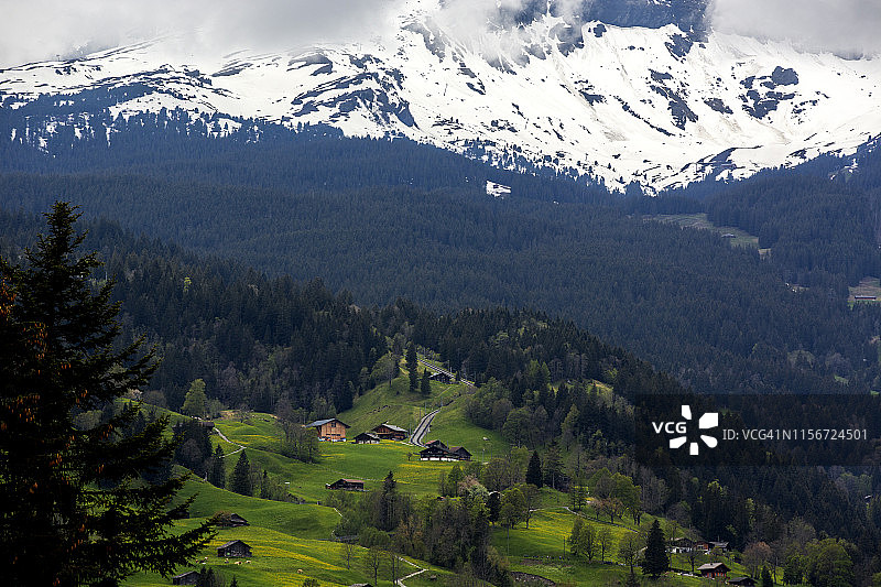 雪山与瑞士乡村的绿色山谷形成鲜明对比图片素材