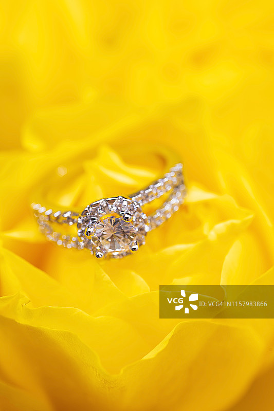 订婚戒指和黄玫瑰图片素材