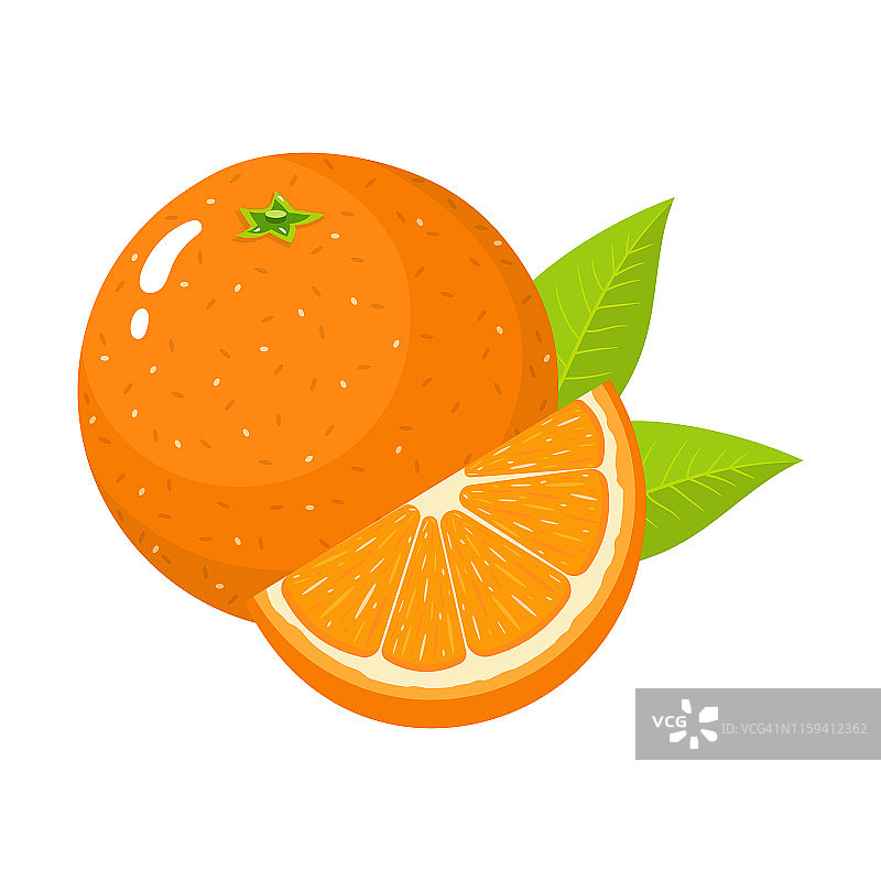 一套新鲜的整体和切块橙色水果与叶子孤立在白色的背景。橘子。有机水果。卡通风格。矢量插图为任何设计。图片素材