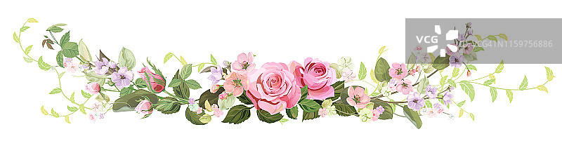 全景:玫瑰花束，春天的花朵。横边:红色，淡紫色，粉红色花，花蕾，绿叶，白色底色。数字绘制插图水彩风格，复古，矢量图片素材