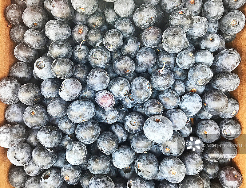 蓝莓。堆蓝色浆果近距离俯视图图片素材